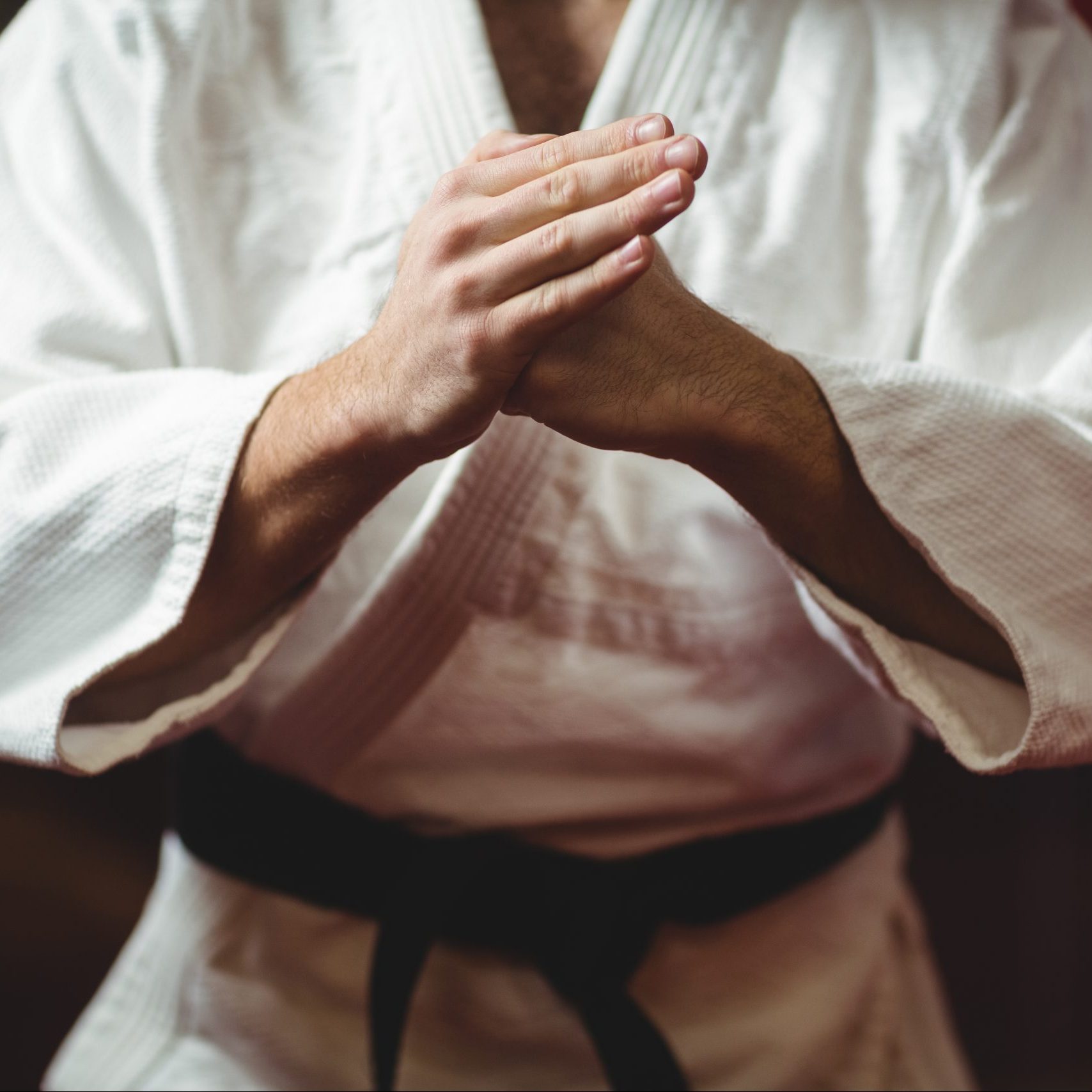 karate-player-performing-karate-stance-2021-08-28-18-10-44-utc-scaled-e1669177090108-1708×1708 karate-player-performing-karate-stance-2021-08-28-18-10-44-utc-scaled-e1669177090108-1708x1708